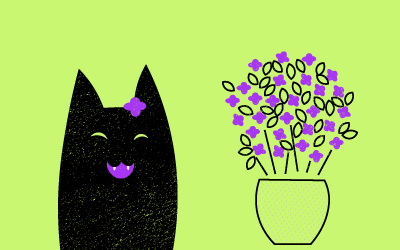 plantas que les gustan a los gatos