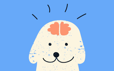 estimular mentalmente a tu perro