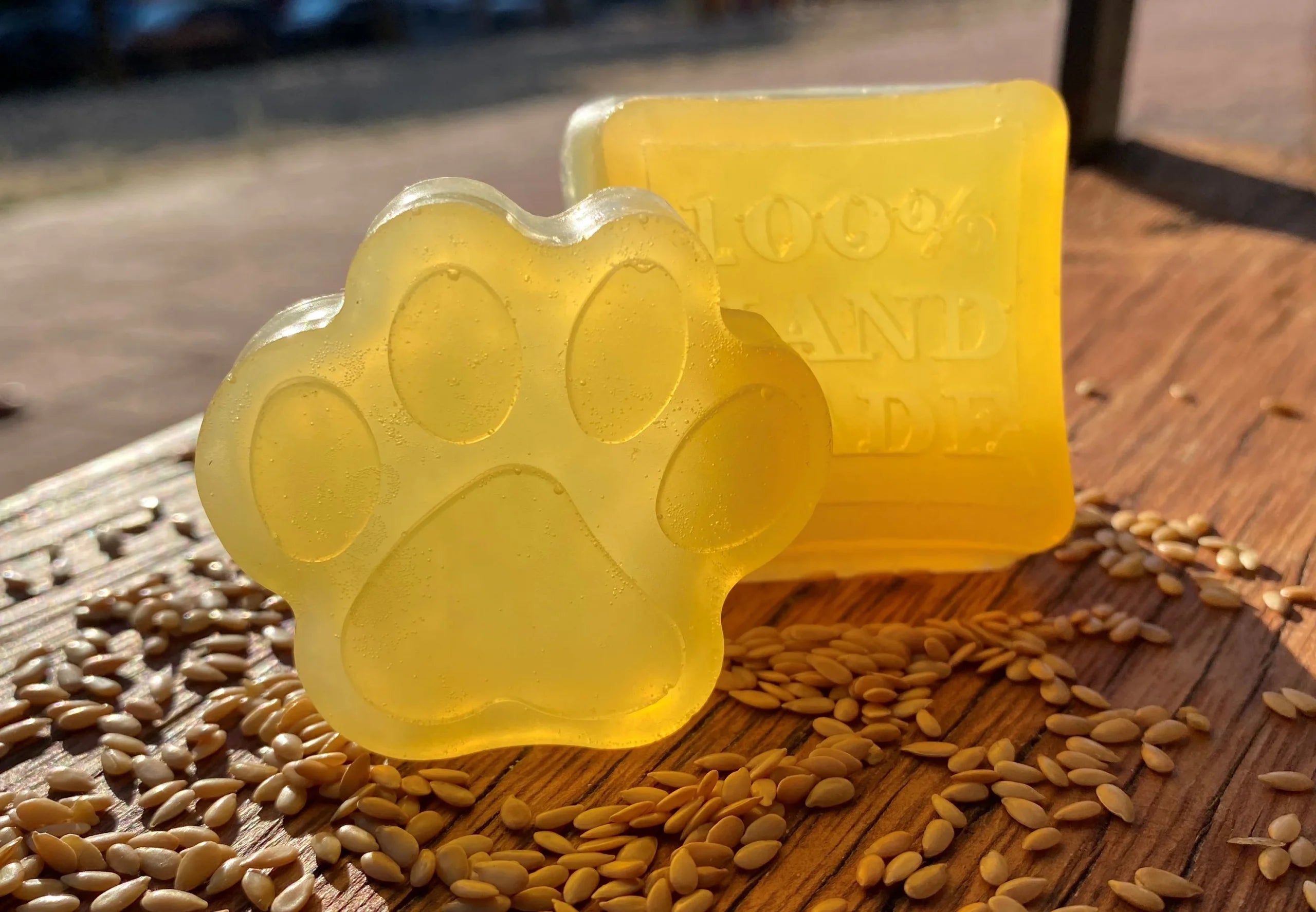 ¿Por qué huele mal mi perro?