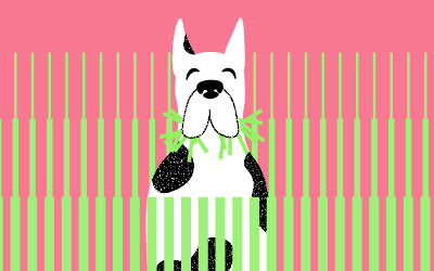 por que mi perro come hierba