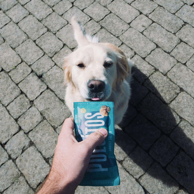 Snacks naturales para perros