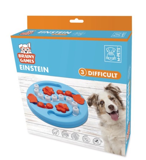 BRAINY GAMES Einstein