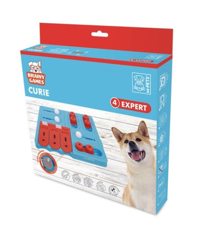 BRAINY GAMES Curie