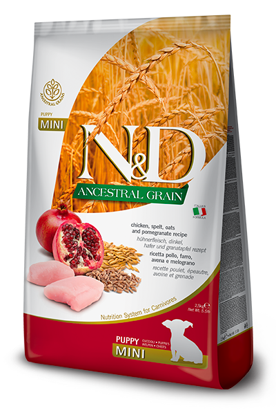 N&D Dog Ancestral Puppy Mini Pollo & Granada
