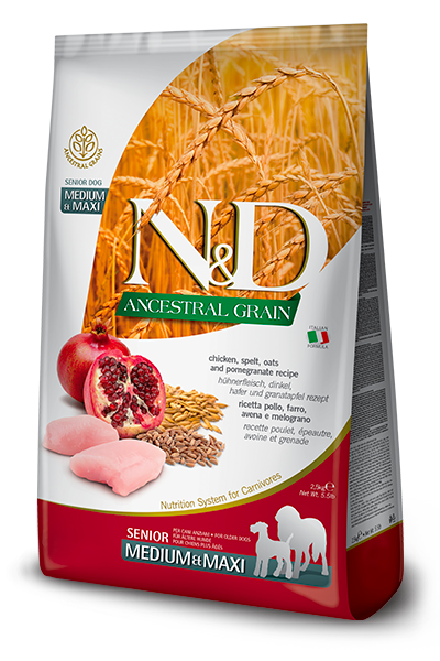 N&D Ancestral Senior Medium-Maxi Pollo & Granada