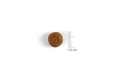 Natura Diet Puppy Junior Large Breed