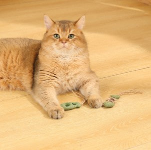 Charmy Catnip - Pescados