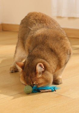 Pelota Charmy Catnip