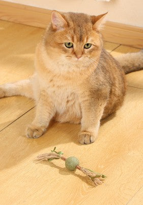 Charmy Tree Branch Toy