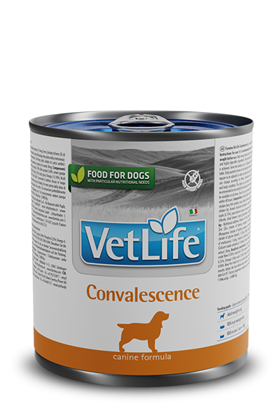 Vet Life Dog Wet Convalescence