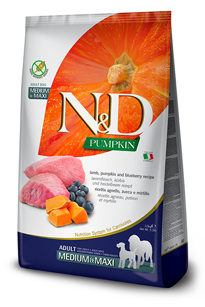 N&D Dog Pumpkin Medium-Maxi Lamb & Blueberries