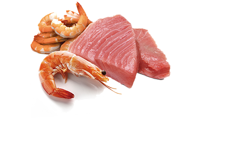 N&D Cat Ocean Lata Atún y Gambas