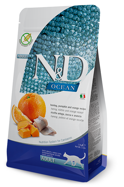 N&D Cat Ocean Arenque y Calabaza
