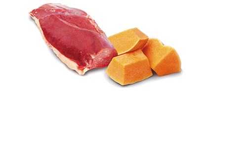 N&D Cat Pumpkin Lata Pato