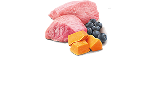 N&D Cat Pumpkin Can Lamb