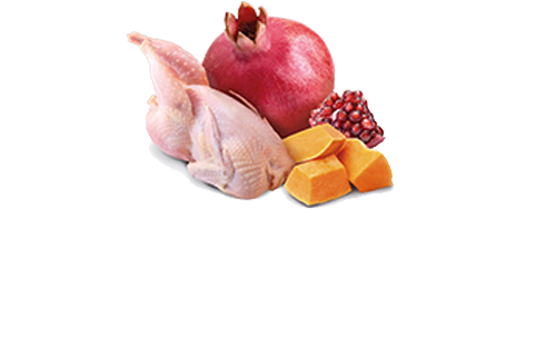 N&D Cat Pumpkin Tin Quail