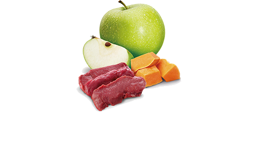 N&D Cat Pumpkin Lata Venado