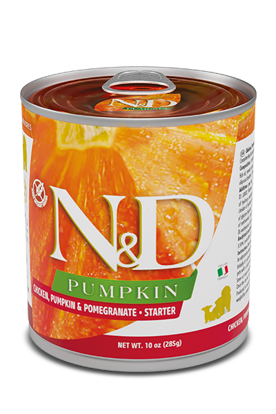 N&D Dog Pumpkin Tin Starter Chicken