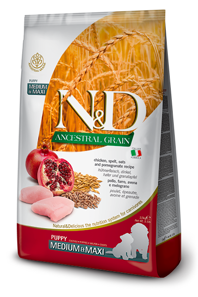 N&D Dog Ancestral Puppy Pollo & Granada