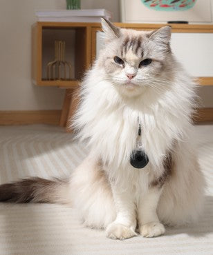 Fearless Repelente Ultrasonico Pulgas y Garrapatas