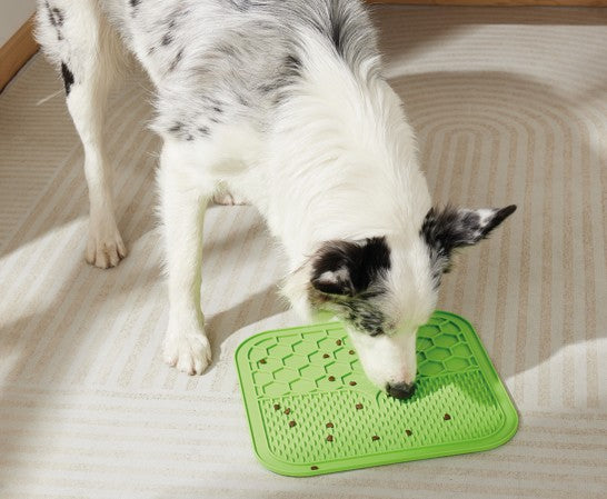 Lick Mat