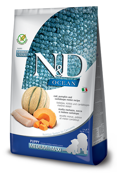 N&D Dog Ocean Puppy Medium - Maxi Cod & Pumpkin