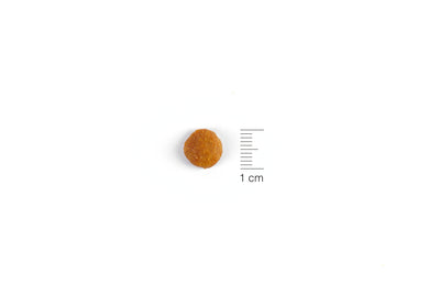 Natura Diet Adult Chicken - 1.5Kg