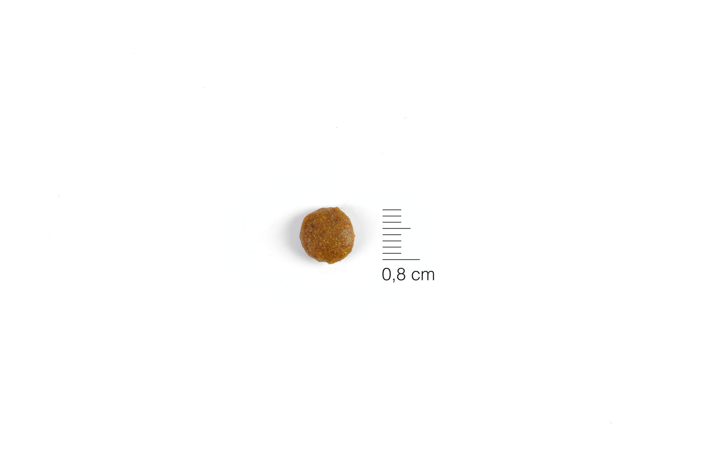 Natura Diet Kitten Salmon - 1.5Kg