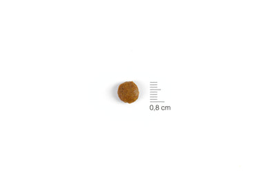 Natura Diet Kitten Salmon - 1.5Kg