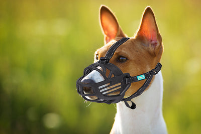 Freedog Ergo Plus Muzzle