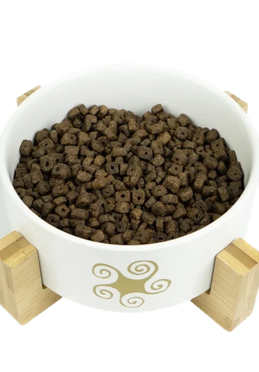 Lenda Mini Atlantic Blue Fish