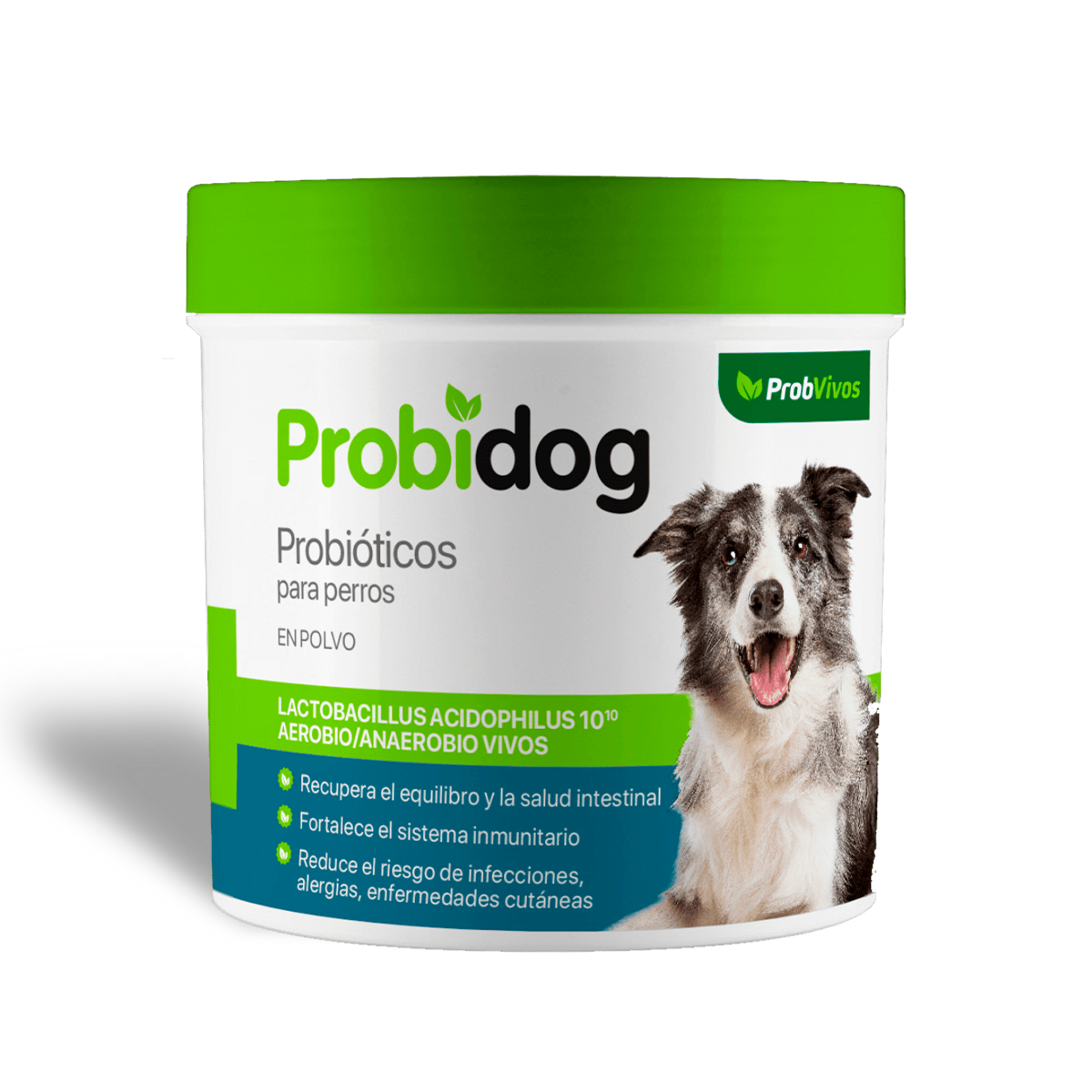 Probvivos Probidog probióticos para perros