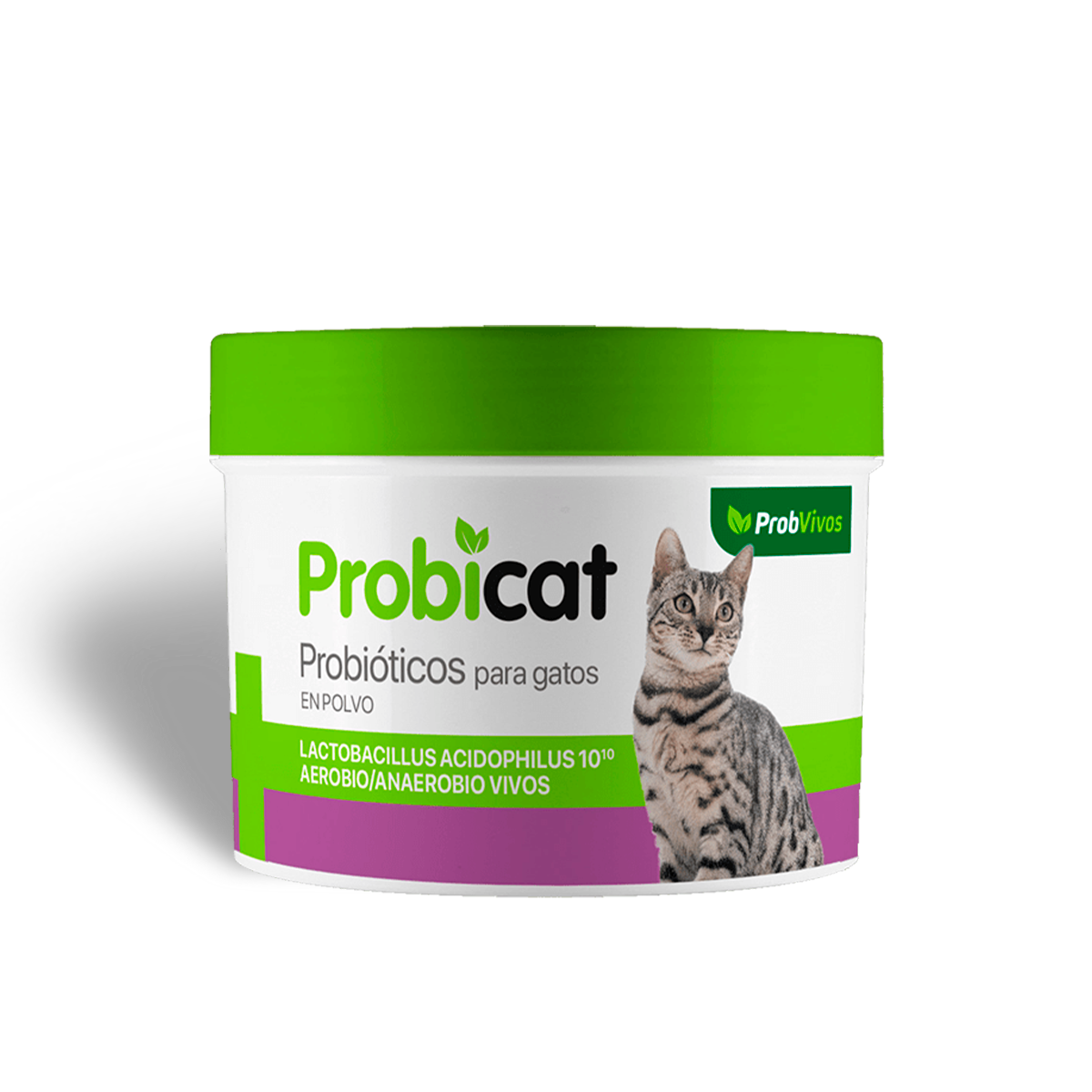 Probvivos Probicat probióticos para gatos