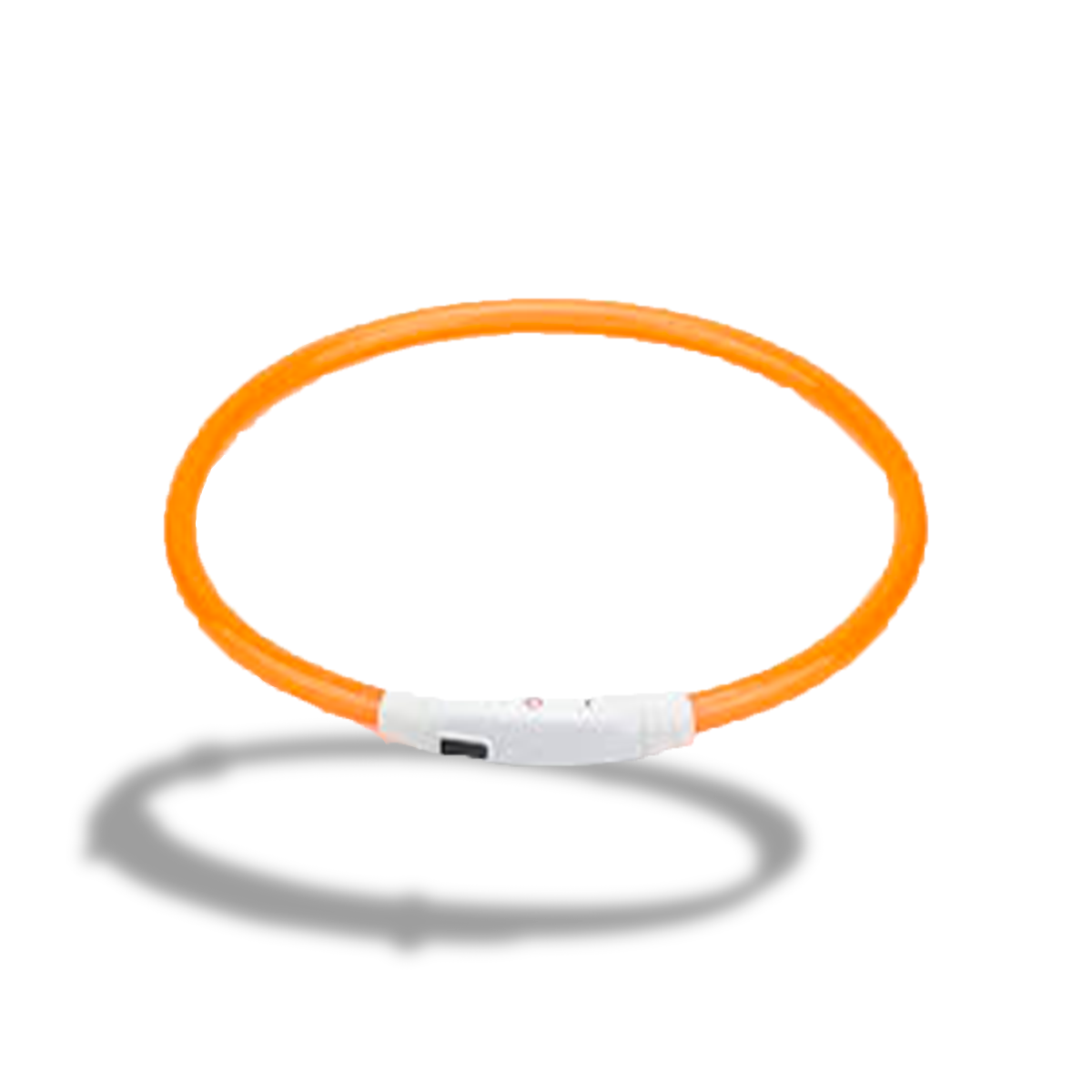 Collar Led para Perros