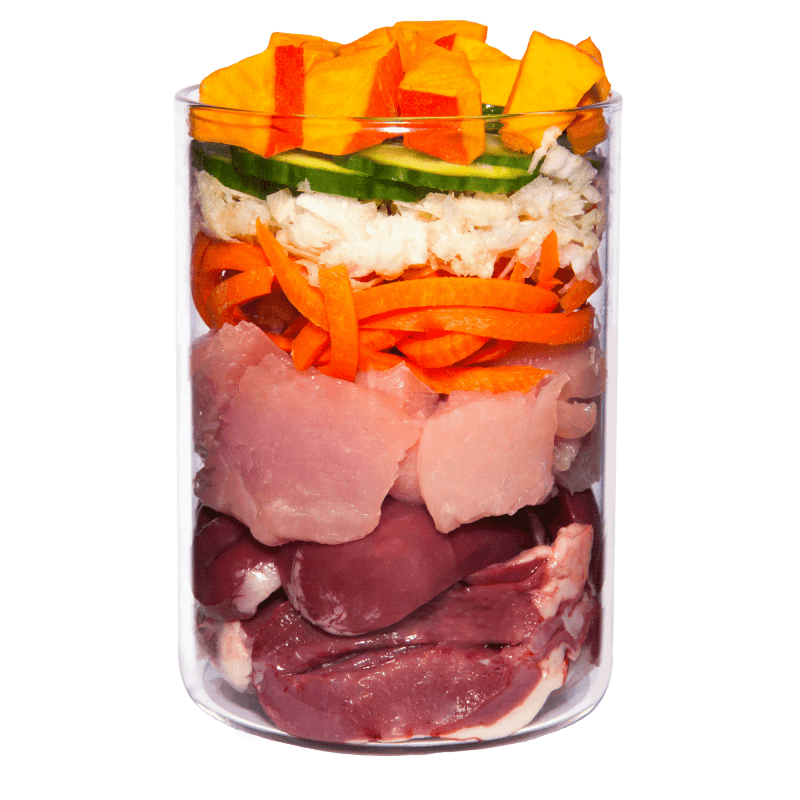 Terra Canis Grain Free Pavo con Apio, Calabaza y Berro