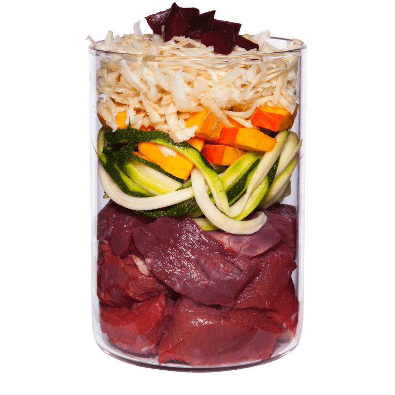 Terra Canis Grain Free Buey con Calabacín, Calabaza y Orégano