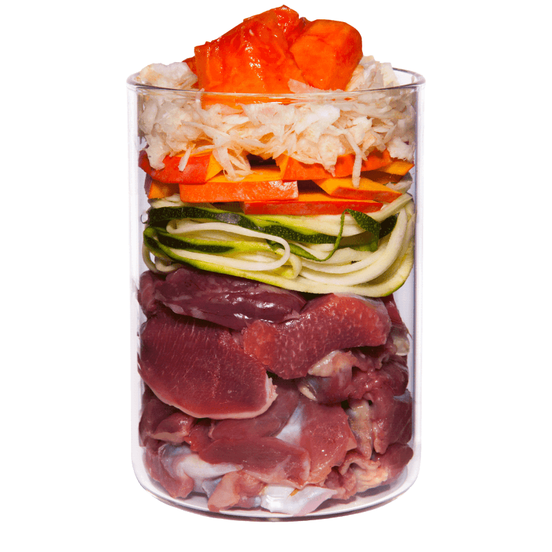 Terra Canis Light Buey con Calabacín, Papaya y Escaramujo
