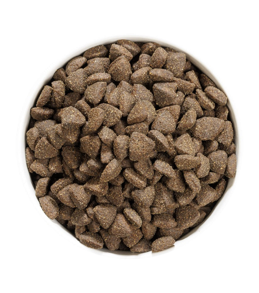 Ownat Dog Prime Grain Free Lamb