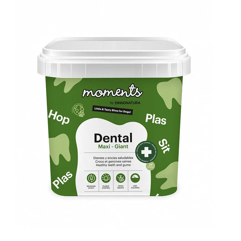 Moments Dental Maxi Cube