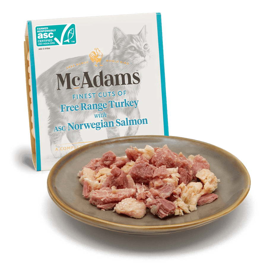 McAdams Cat Tarrina Pavo Campero con Salmón Noruego