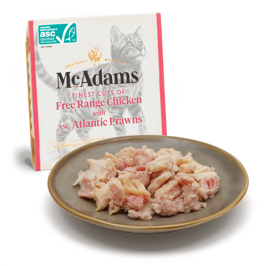McAdams Cat Tarrina Pollo Campero y Gambas del Atlantico