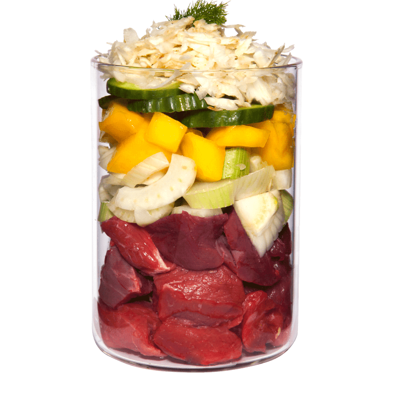 Terra Canis Light Buey con Calabaza, Mango y Alcachofa