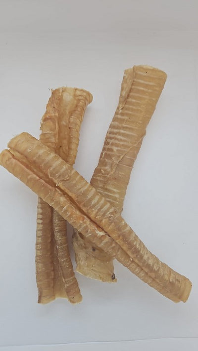 VIP Traquea de Bufalo