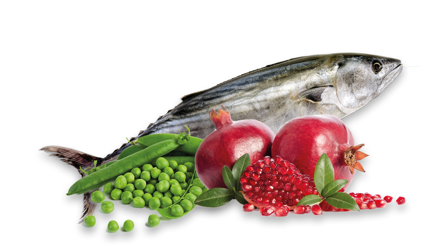 Happy One Mediterraneum FRESH SARDINES - 12Kg