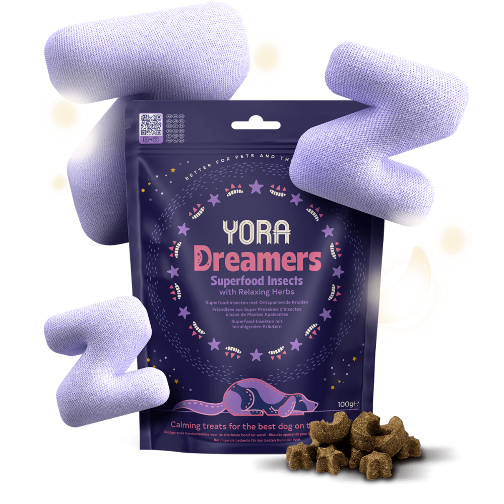 YORA Insectos Snack Dreamers