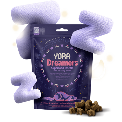 YORA Insectos Snack Dreamers