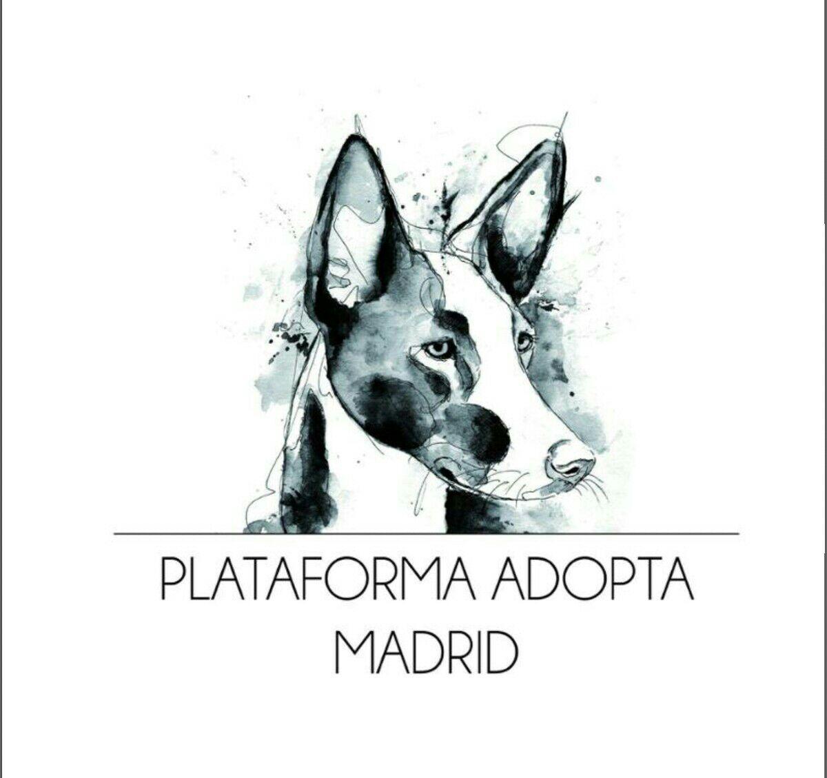 logo adopta madrid