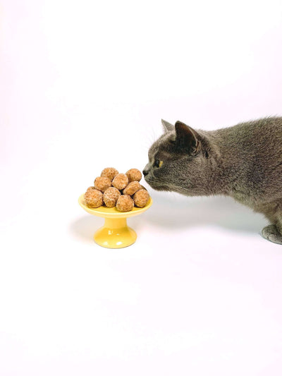 Snacks y Bocaditos para gatos