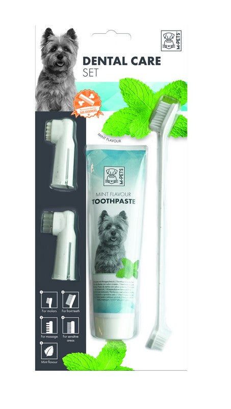 Kit de Limpieza Dental Menta