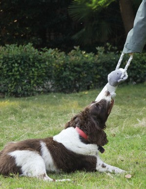 Chewtopia Eco Teether Toy